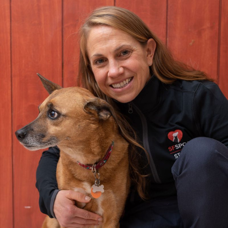 San Francisco SPCA veterinarian Betsy Goldenberg with dog
