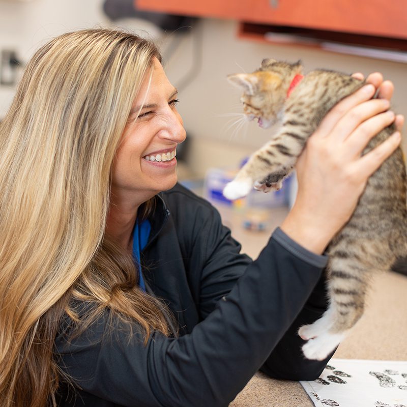 San Francisco SPCA veterinarian Lindsey Meyer holding a kitten