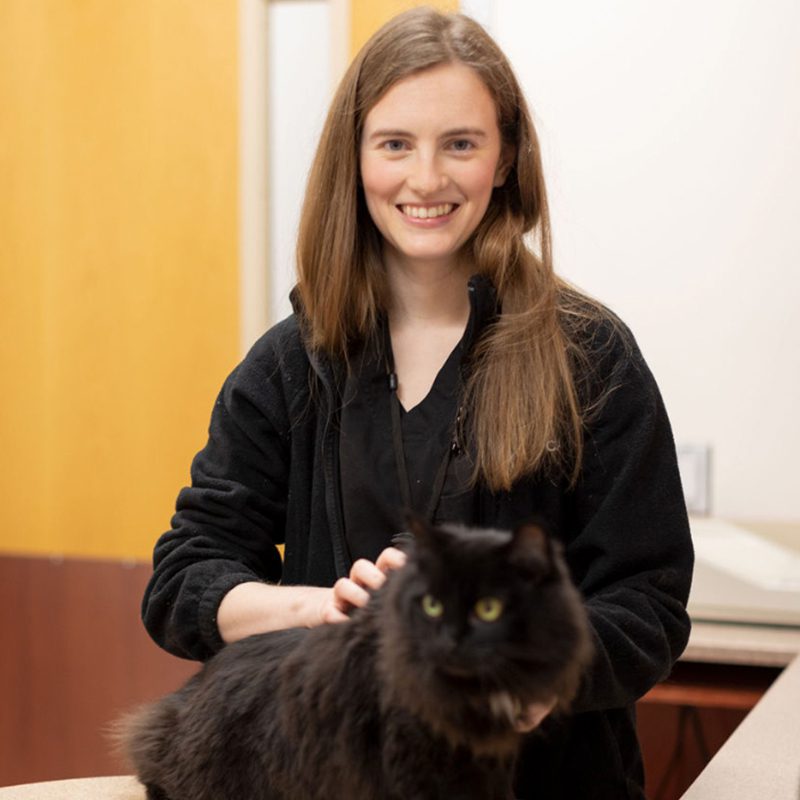 San Francisco SPCA Veterinarian Rebecca Velazquez with black cat
