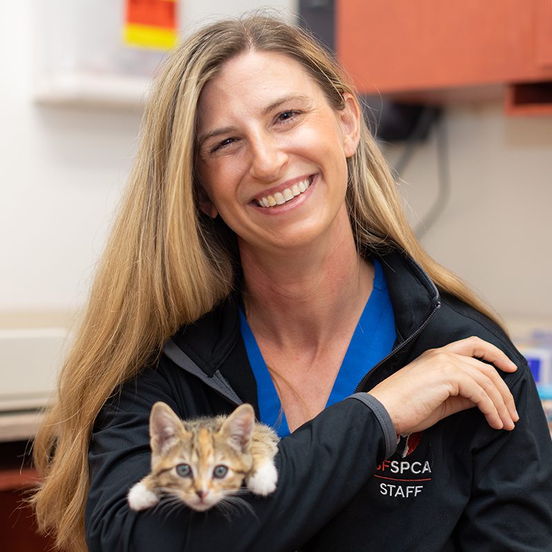 San Francisco SPCA Veterinarian Lindsey Meyer with shelter kitten