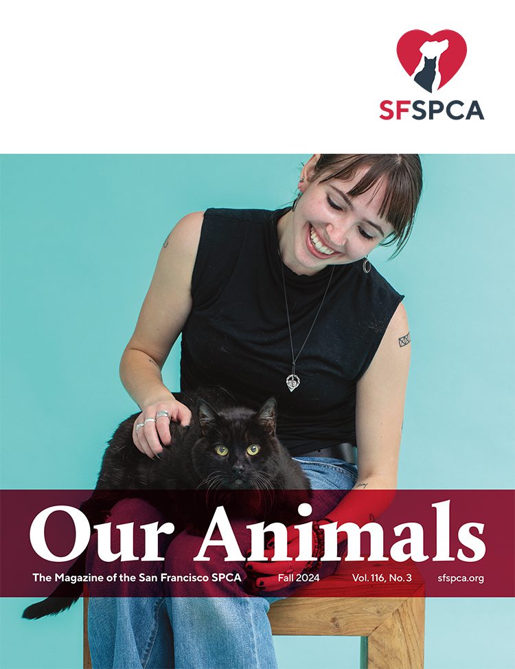 SF SPCA Our Animals Magazine Fall 2024