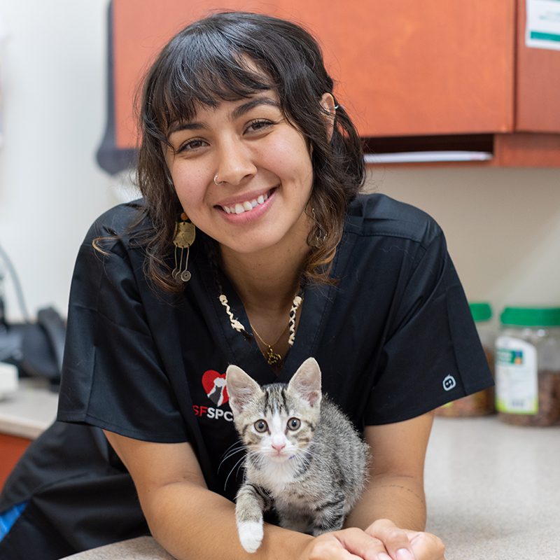 SF SPCA Veterinarian Isabella Benitez